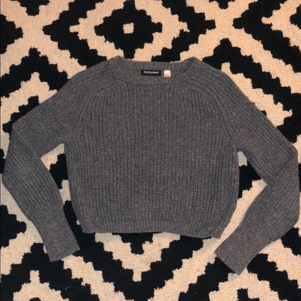 Gray Cropped American Apparel Knit Sweater